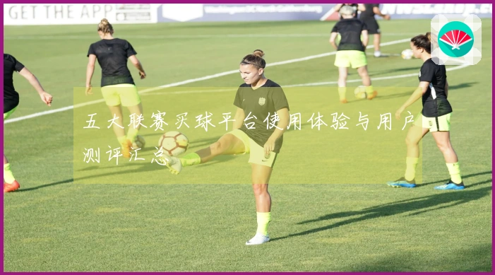 五大联赛买球平台使用体验与用户测评汇总